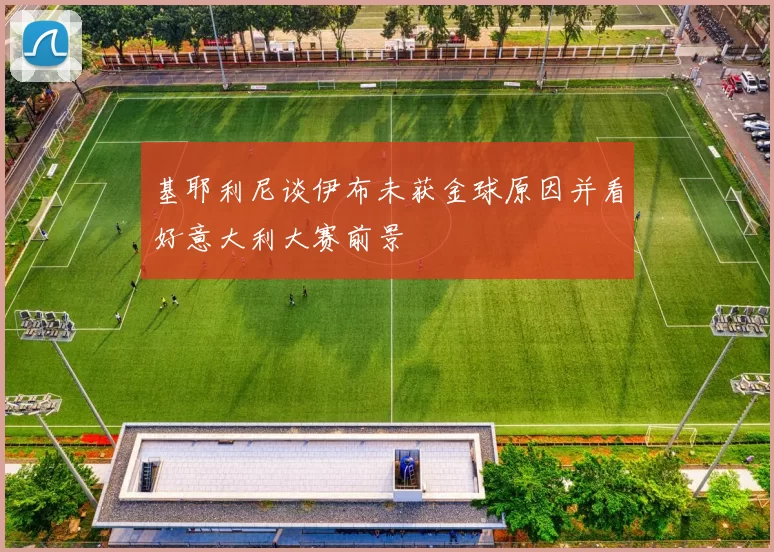 基耶利尼谈伊布未获金球原因并看好意大利大赛前景